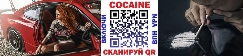 KRAKEN зеркало Судак Cocaine FishScale