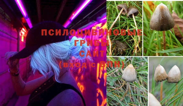 прущая мука Аркадак