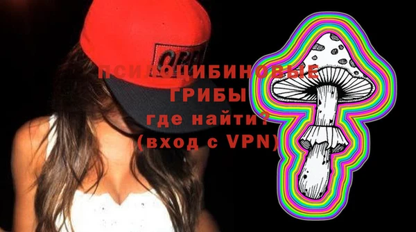 соль ск Арсеньев