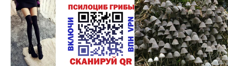 Галлюциногенные грибы Psilocybe  магазин    Судак 